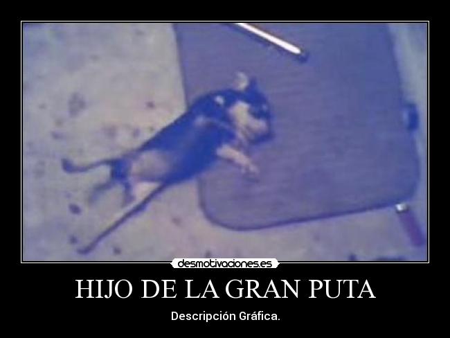 carteles asesino cachorro hijo puta desmotivaciones