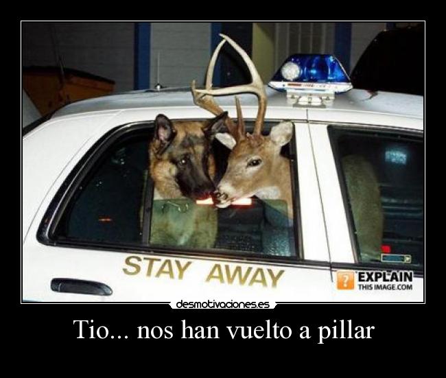 Tio... nos han vuelto a pillar - 