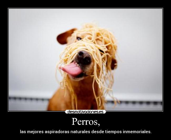 Perros, -