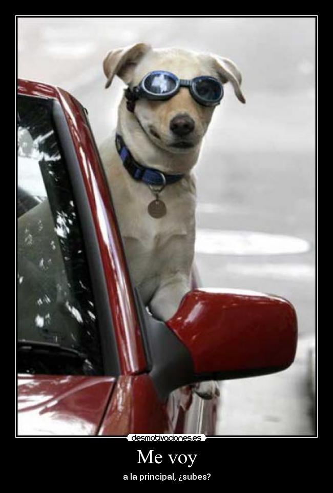 Me voy - a la principal, ¿subes?