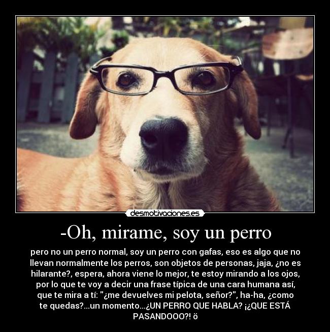 -Oh, mirame, soy un perro - 