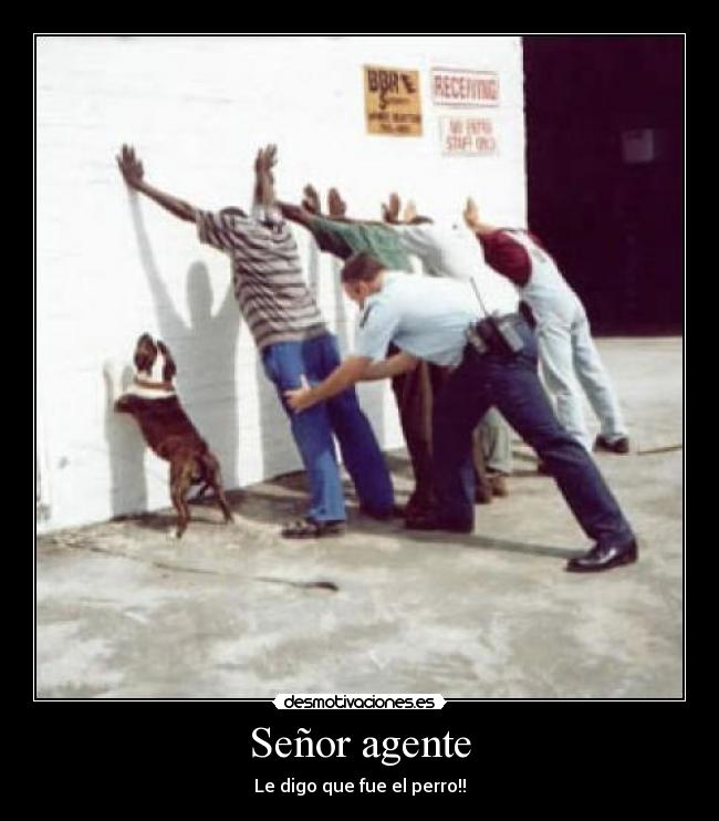 Señor agente - Le digo que fue el perro!!