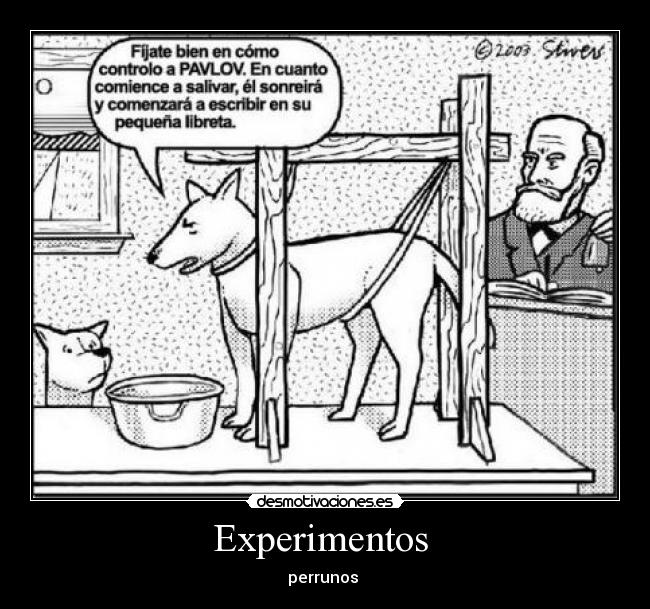 Experimentos  - perrunos 