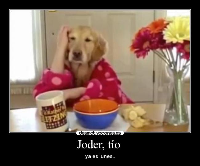 Joder, tío -