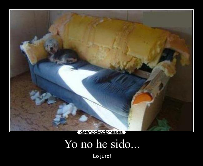 Yo no he sido... - Lo juro!