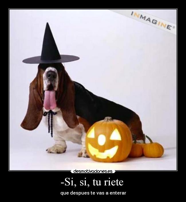 -Si, si, tu riete  - 