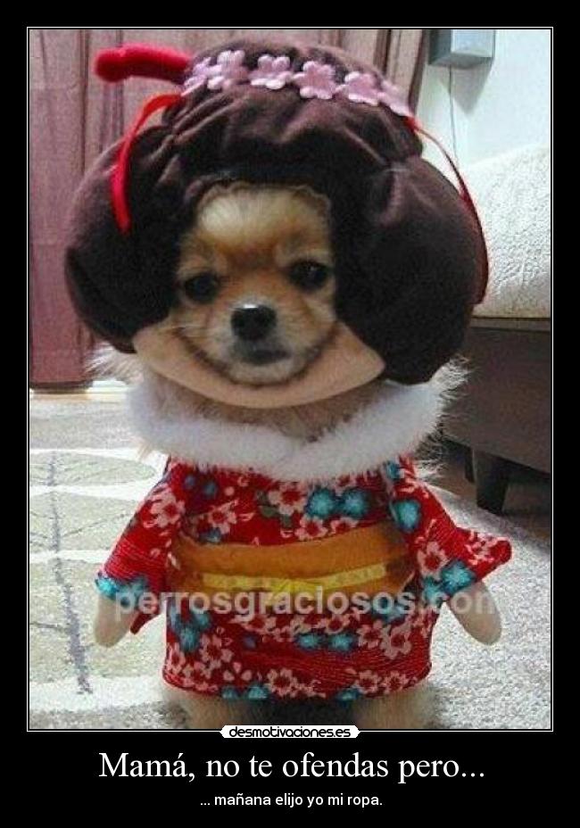 carteles perros desmotivaciones