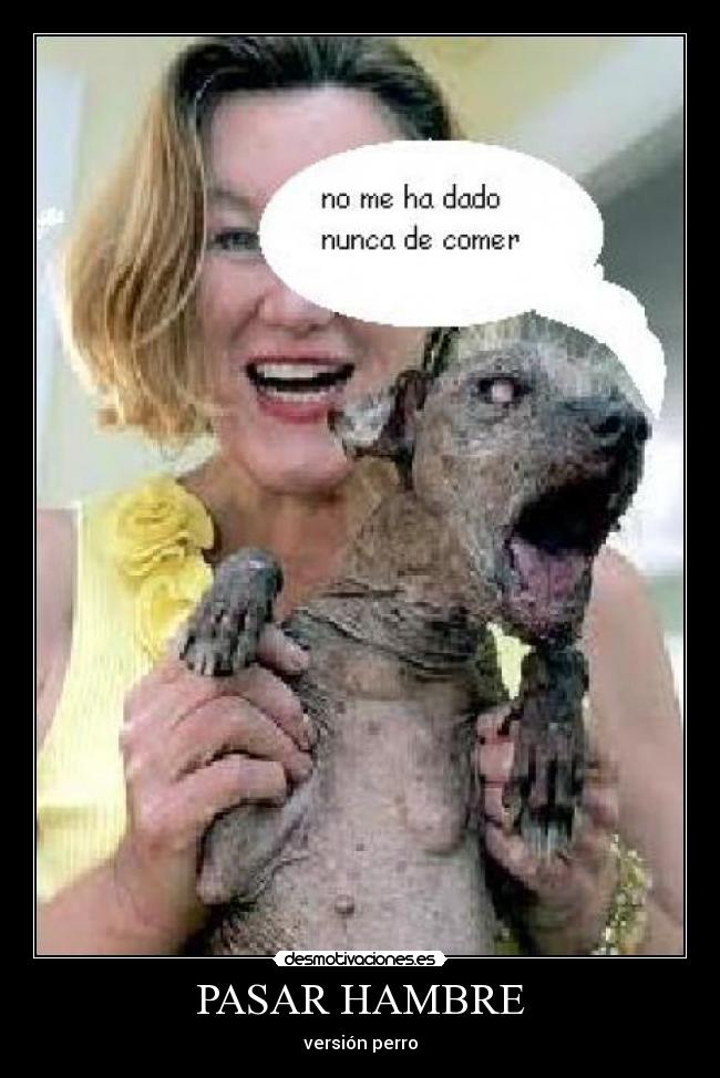 PASAR HAMBRE - versión perro