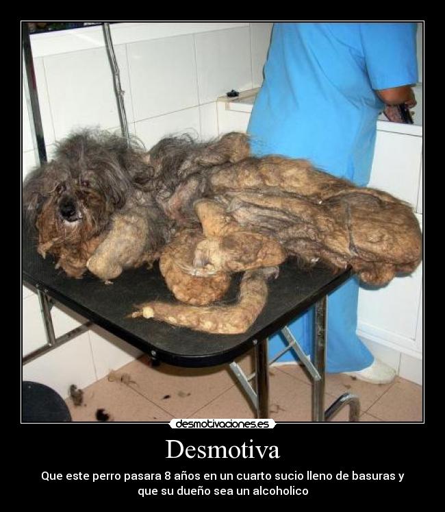 Desmotiva -
