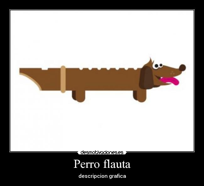 Perro flauta - descripcion grafica
