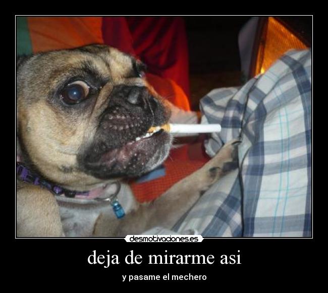 deja de mirarme asi - 