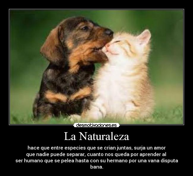 La Naturaleza - hace que entre especies que se crian juntas, surja un amor
que nadie puede separar, cuanto nos queda por aprender al 
ser humano que se pelea hasta con su hermano por una vana disputa bana.