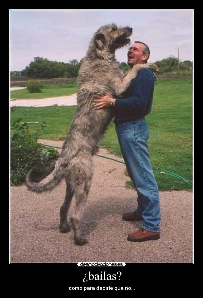 ¿bailas? - como para decirle que no...