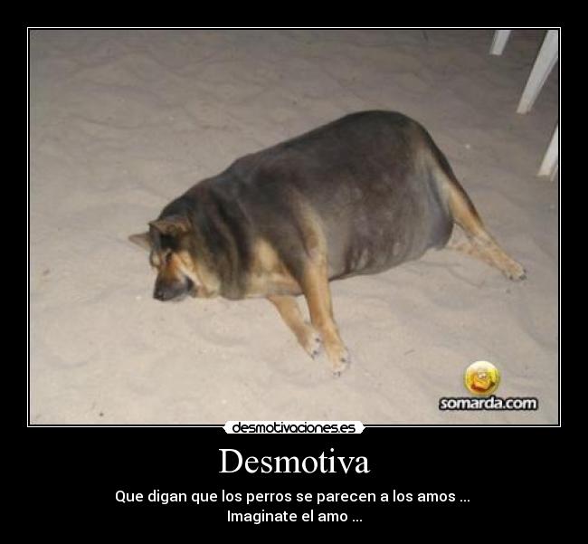Desmotiva -