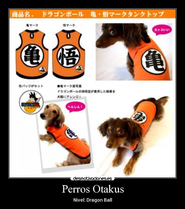 Perros Otakus - Nivel: Dragon Ball
