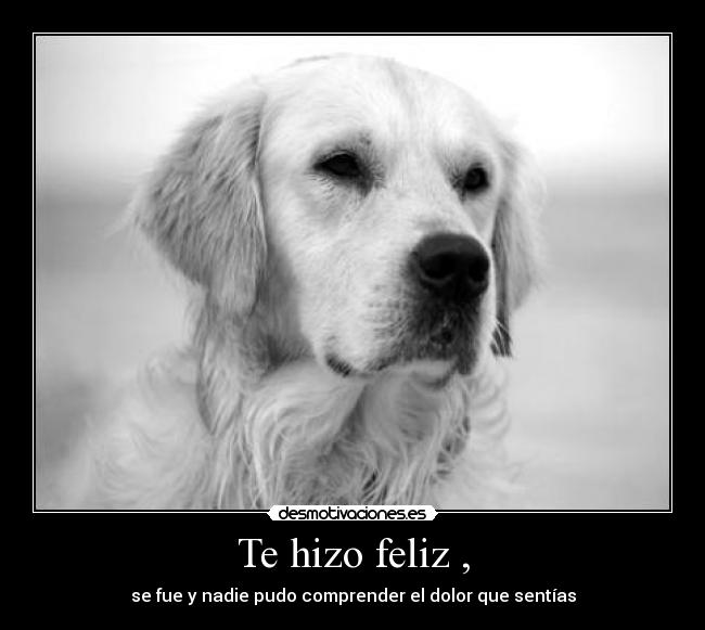 Te hizo feliz , - se fue y nadie pudo comprender el dolor que sentías