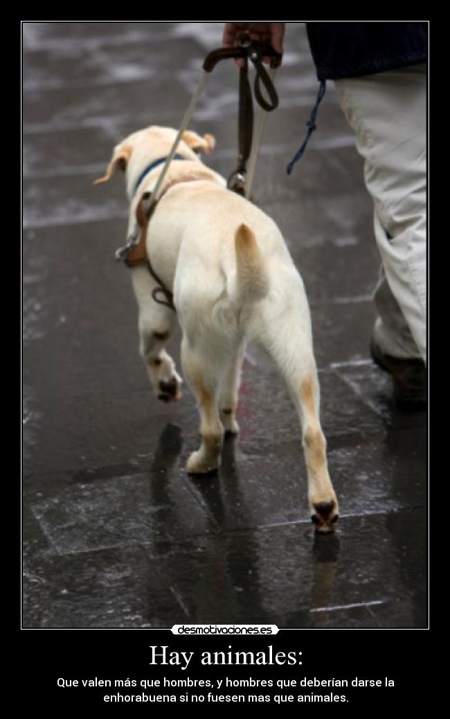 Hay animales: - Que valen más que hombres, y hombres que deberían darse la
enhorabuena si no fuesen mas que animales.