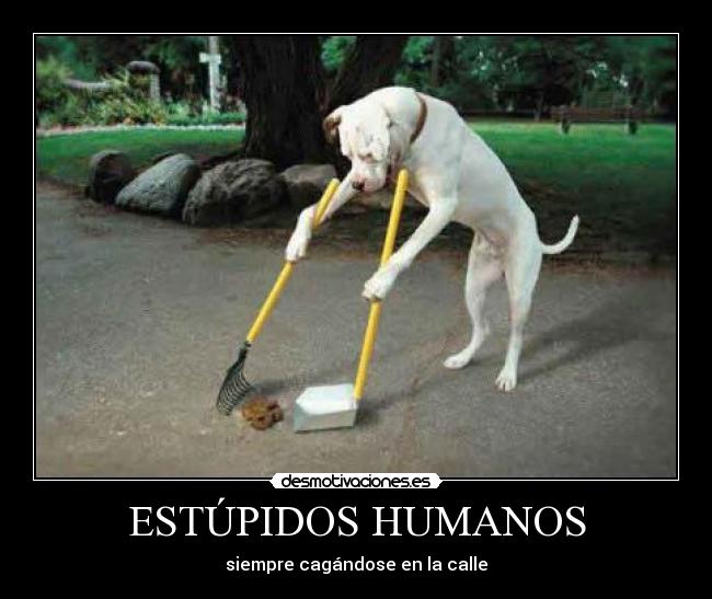 ESTÚPIDOS HUMANOS -