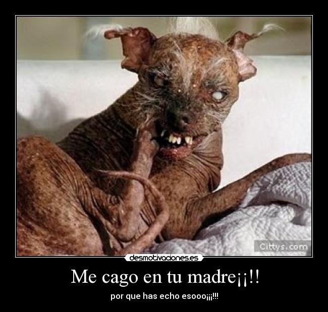 Me cago en tu madre¡¡!! - 