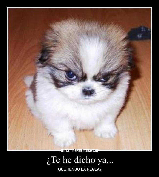 ¿Te he dicho ya... - QUE TENGO LA REGLA?