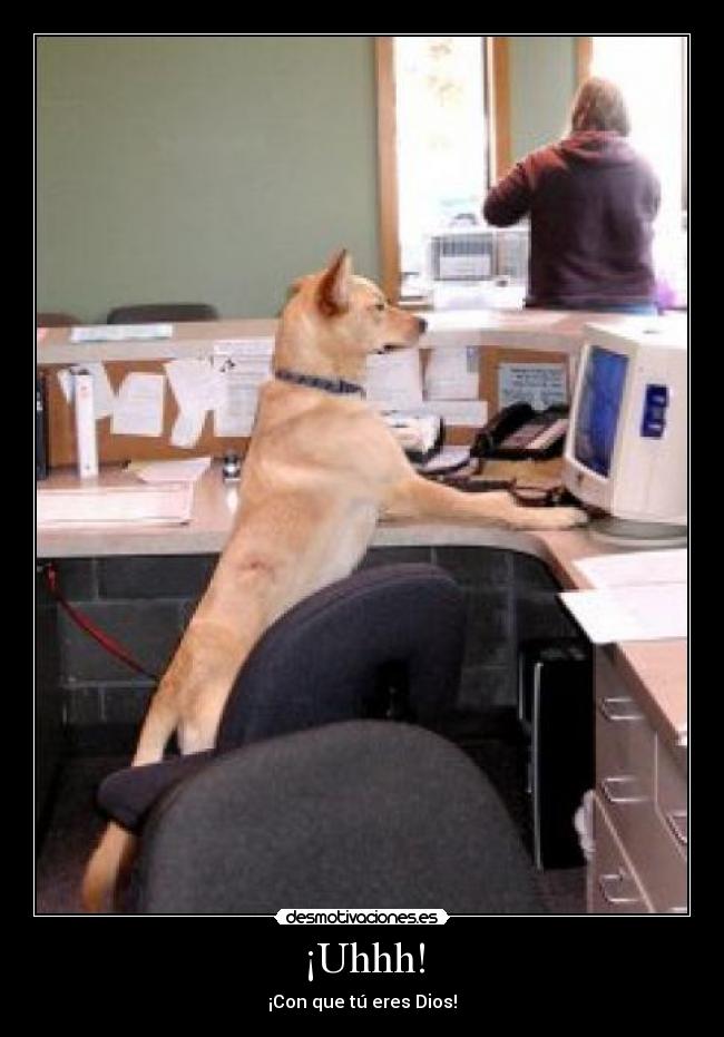 ¡Uhhh! - ¡Con que tú eres Dios!