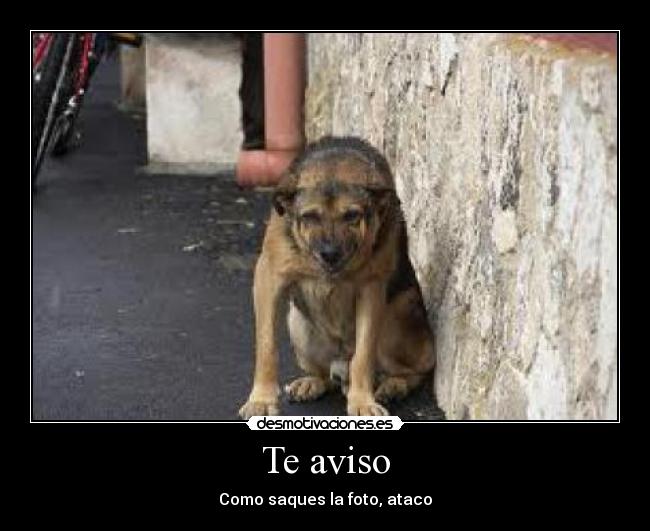 Te aviso - Como saques la foto, ataco