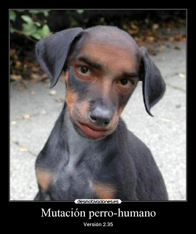 carteles ponchakoangelvegaangelxphobia desmotivaciones