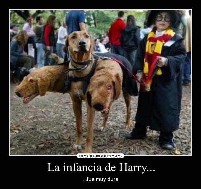 La infancia de Harry... -