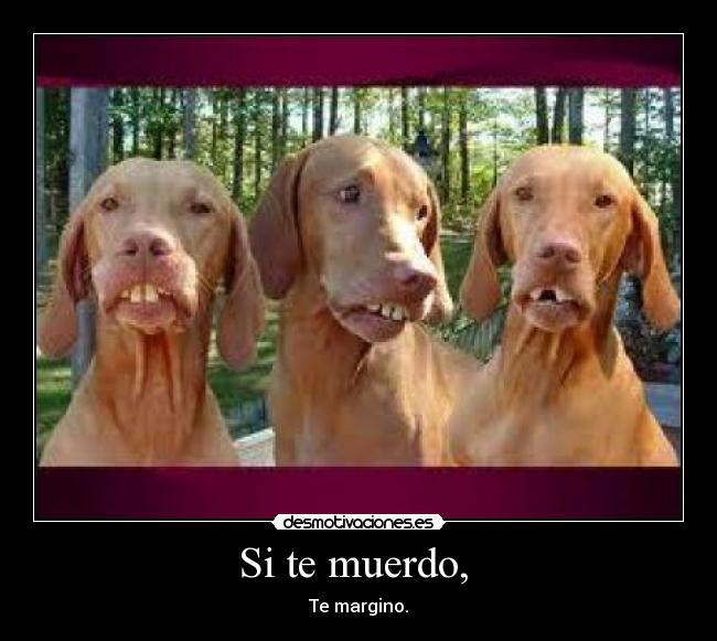 Si te muerdo, -