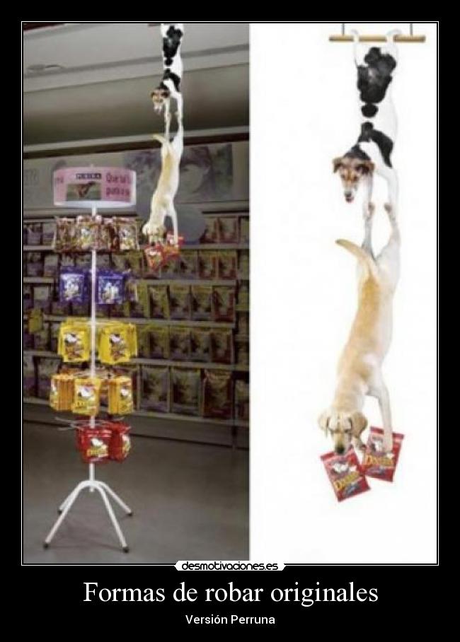 carteles robar desmotivaciones