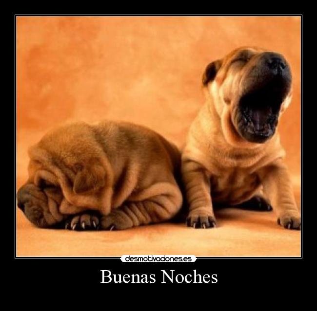Buenas Noches -