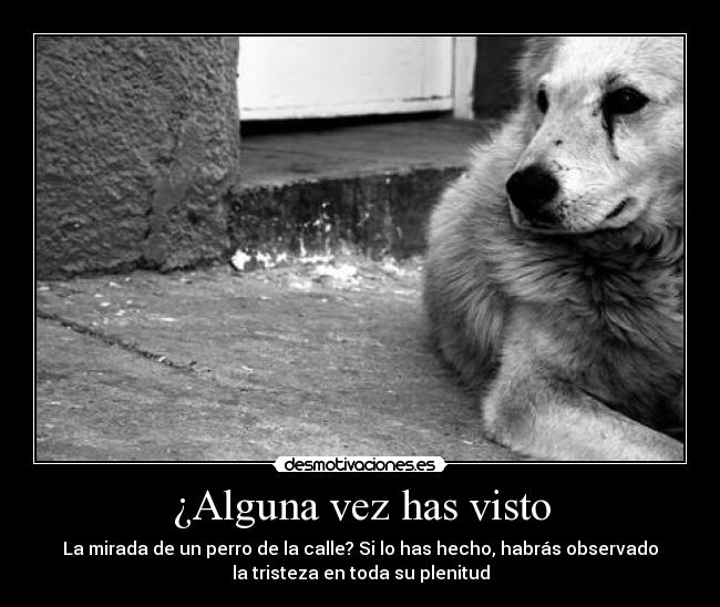 ¿Alguna vez has visto -