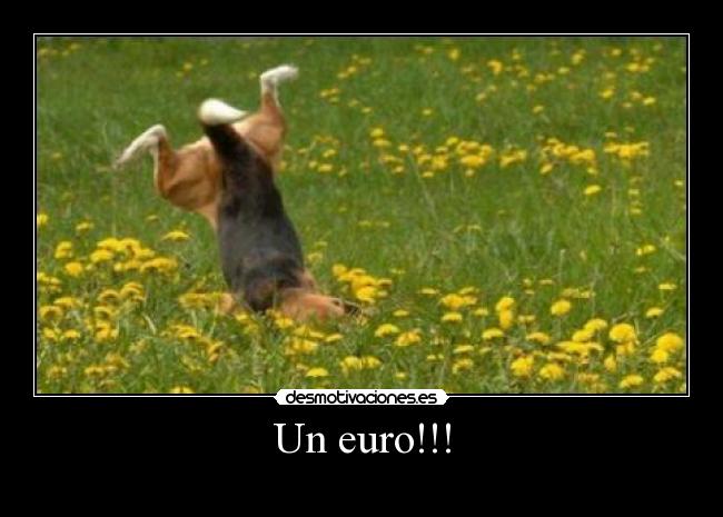 Un euro!!! - 