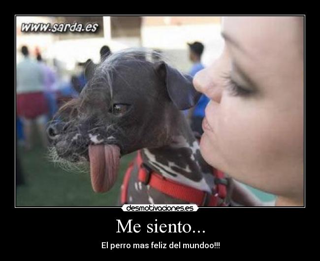 Me siento... - 