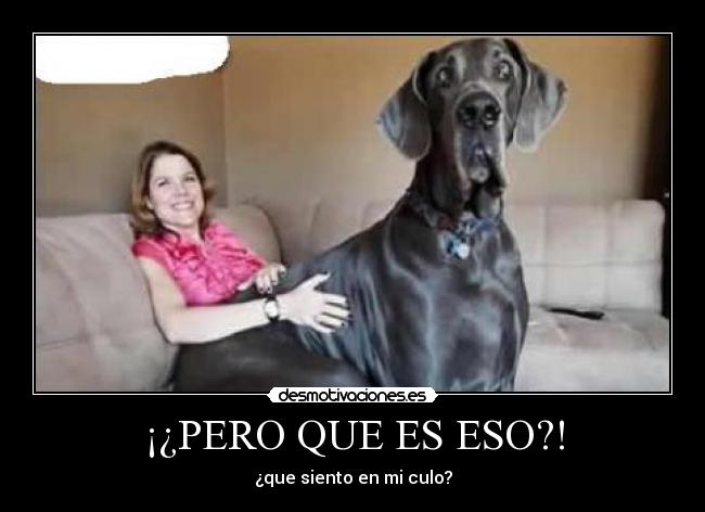 ¡¿PERO QUE ES ESO?! - ¿que siento en mi culo?