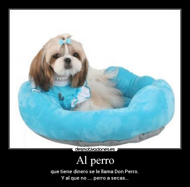 Al perro - que tiene dinero se le llama Don Perro. 
Y al que no .... perro a secas...