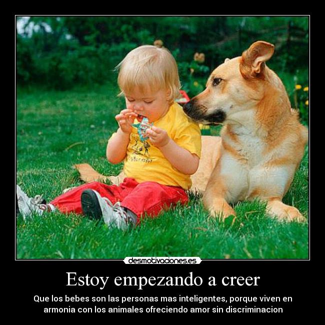 Estoy empezando a creer -
