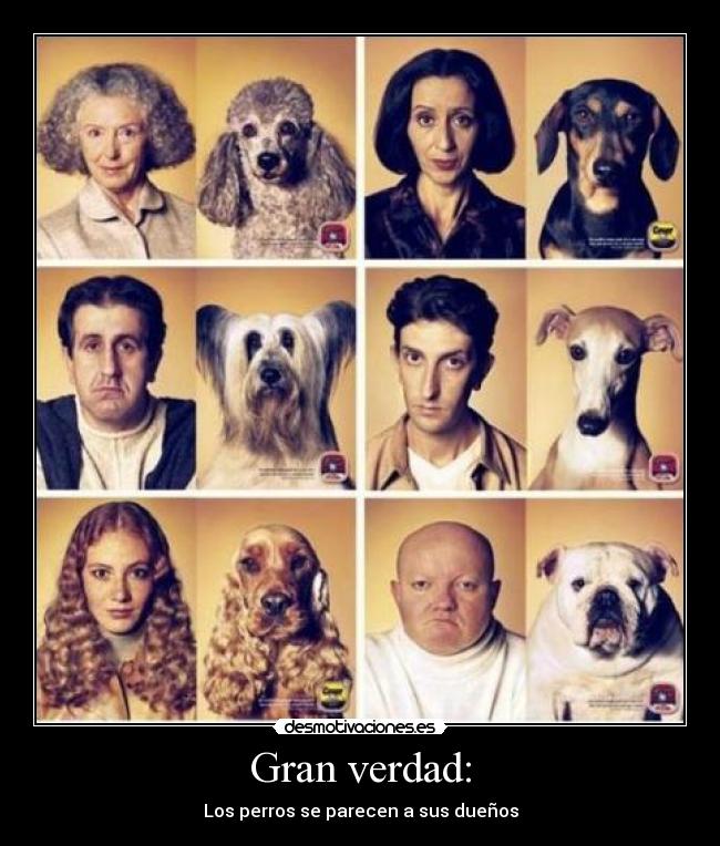 Gran verdad: - Los perros se parecen a sus dueños