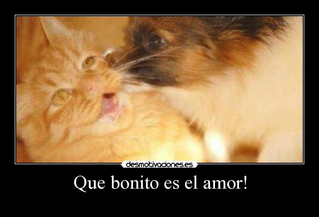 Que bonito es el amor! -