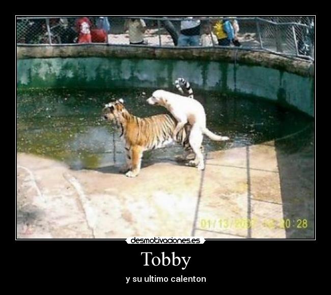 Tobby -