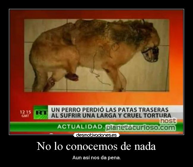 No lo conocemos de nada -