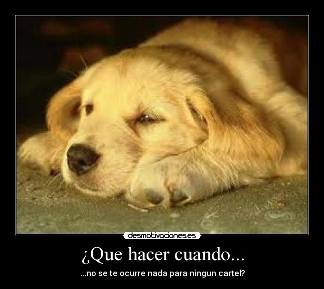 ¿Que hacer cuando... - 