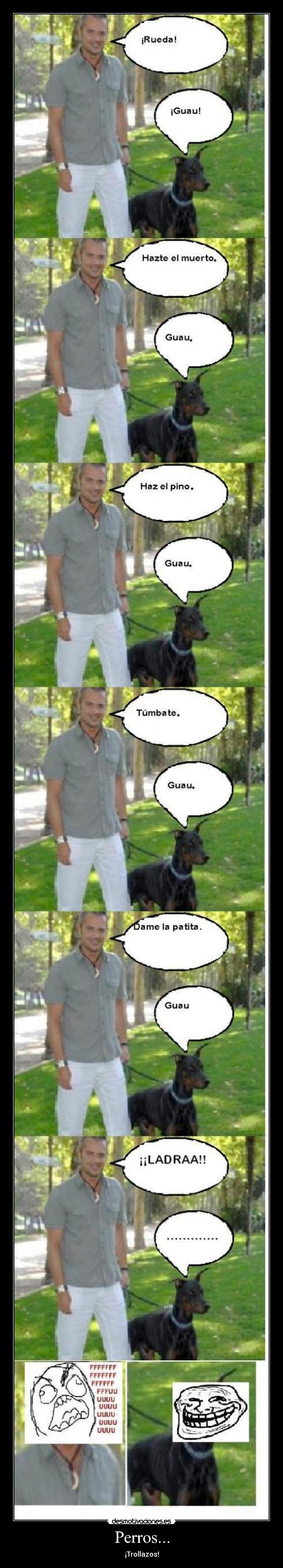 Perros... -