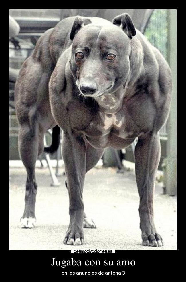 Jugaba con su amo - 