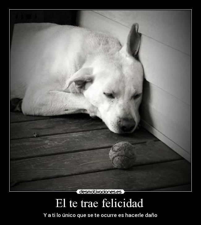 El te trae felicidad -
