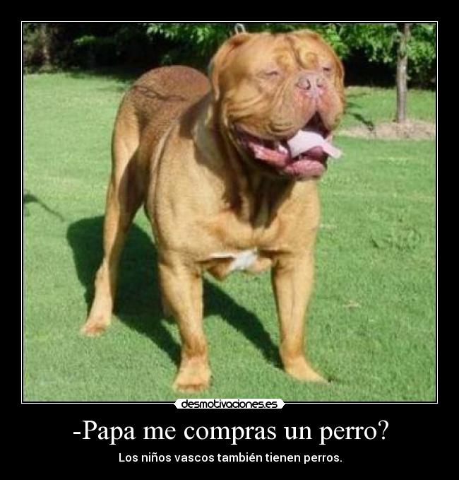 -Papa me compras un perro? - Los niños vascos también tienen perros.