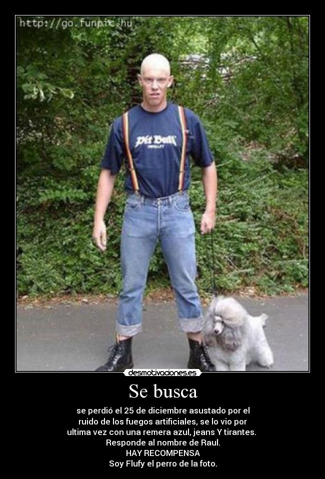 Se busca - se perdió el 25 de diciembre asustado por el
ruido de los fuegos artificiales, se lo vio por
ultima vez con una remera azul, jeans Y tirantes. 
Responde al nombre de Raul.
HAY RECOMPENSA
Soy Flufy el perro de la foto.