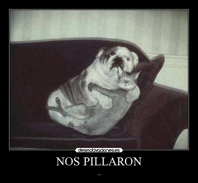 NOS PILLARON - 