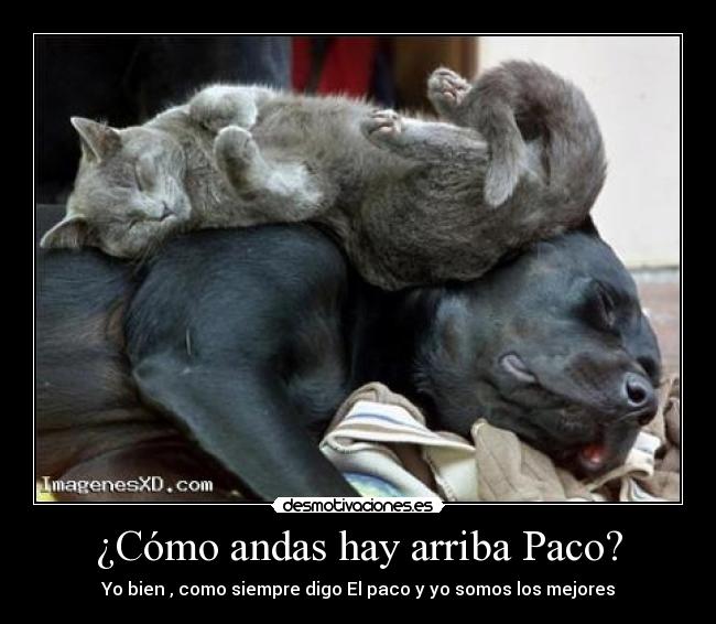 carteles cosas que pasan desmotivaciones