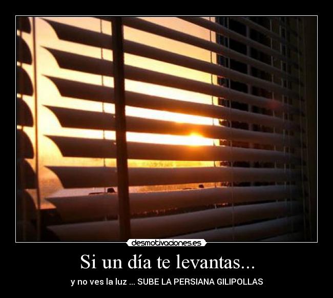 Si un día te levantas... - y no ves la luz ... SUBE LA PERSIANA GILIPOLLAS